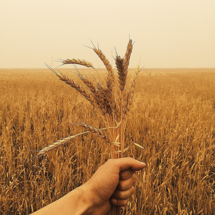 What is celiac disease and how does it affect your teeth? We break it down: