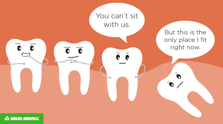 Wisdom tooth, you can sit with us