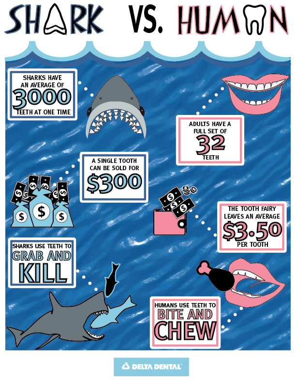 Shark Week Infographic01 Delta Dental of Wyoming Blog