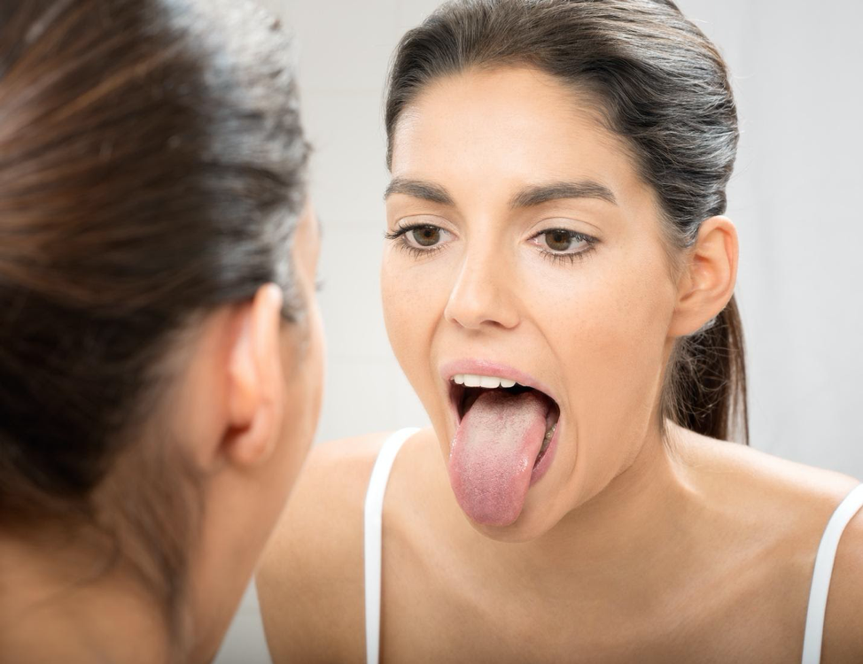 Taste buds are small sensory organs that are found in the little bumps (also known as papillae) on our tongues and are the primary reason we can enjoy our favorite foods. Learn more here. 