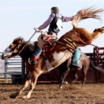 Saddle up! It’s rodeo season and Wyoming has some of the best of our official state sport. Whether it’s barrel racing, calf roping, or bull riding, wearing a mouthguard lessens the chance of oral injuries.