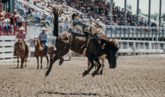 This is not a typical year at Frontier Park. Cheyenne Frontier Days (CFD) is celebrating its 125th year. That’s why they call it The Daddy of ‘em All! Cheyenne held its first Frontier Days celebration in 1897. It was a one-day cowboy roundup. Since then, it has grown into a ten-day extravaganza filled with “food, fun, and entertainment.”