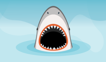 Shark teeth are some of the most fascinating in the animal kingdom. Did you know that a single shark can lose and regrow thousands of teeth in its lifetime? Learn more about the apex predator’s teeth here.